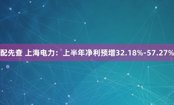 配先查 上海电力：上半年净利预增32.18%-57.27%
